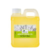 Organic Apricot Kernel Oil