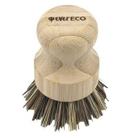 Ever Eco - Pot Scrubber With Palm Leaf Bristles