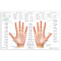 Modern Essentials Reflexology Chart