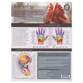 Reflexology Using Essential Oils Tear Pad