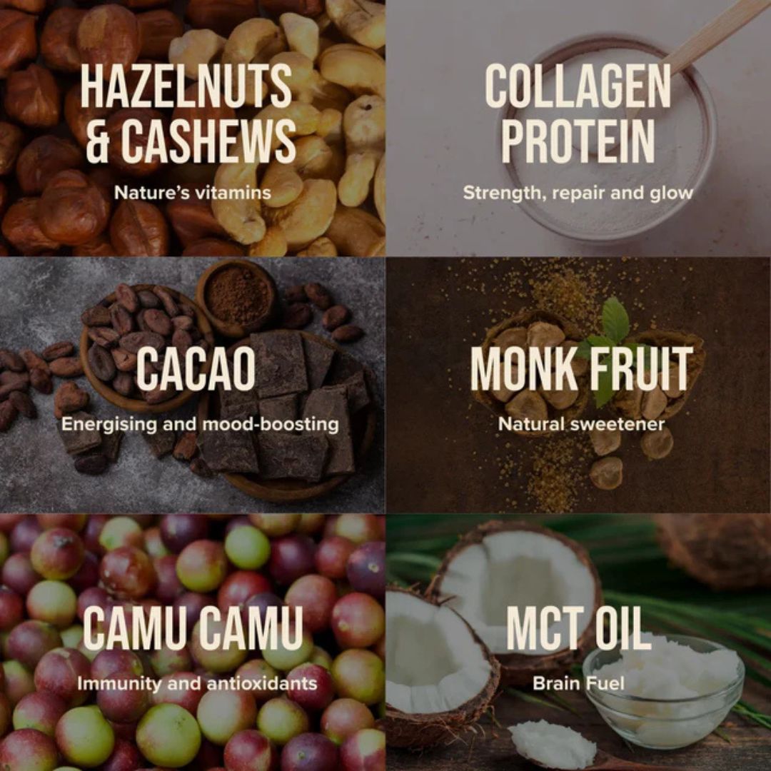 Chief. - Collagen Protein HAZELNUT BROWNIE Bar