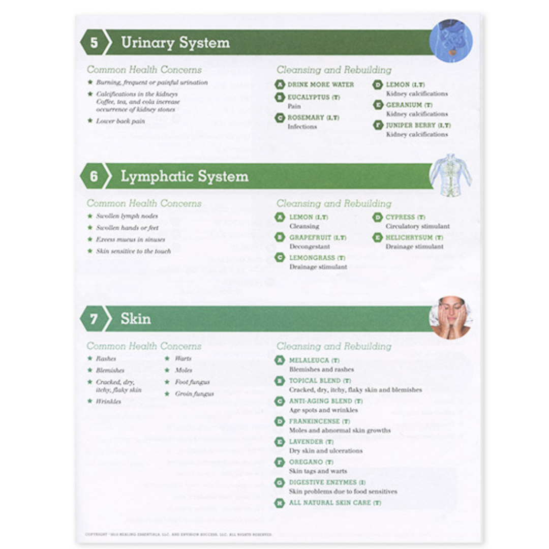 Detox & Renew with Essential Oils - 2-Page Foldout