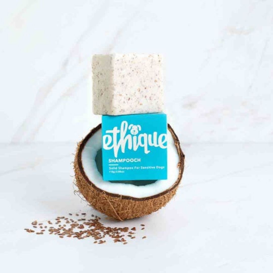 Ethique - Unscented Solid Dog Shampoo | SHAMPOOCH