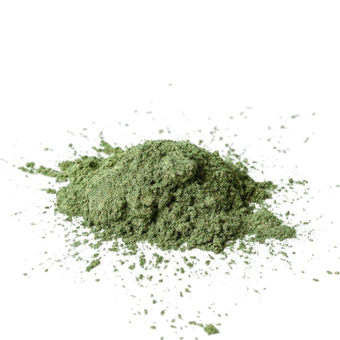 Mica Powder - Evergreen