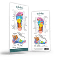 Reflexology Rack Cards
