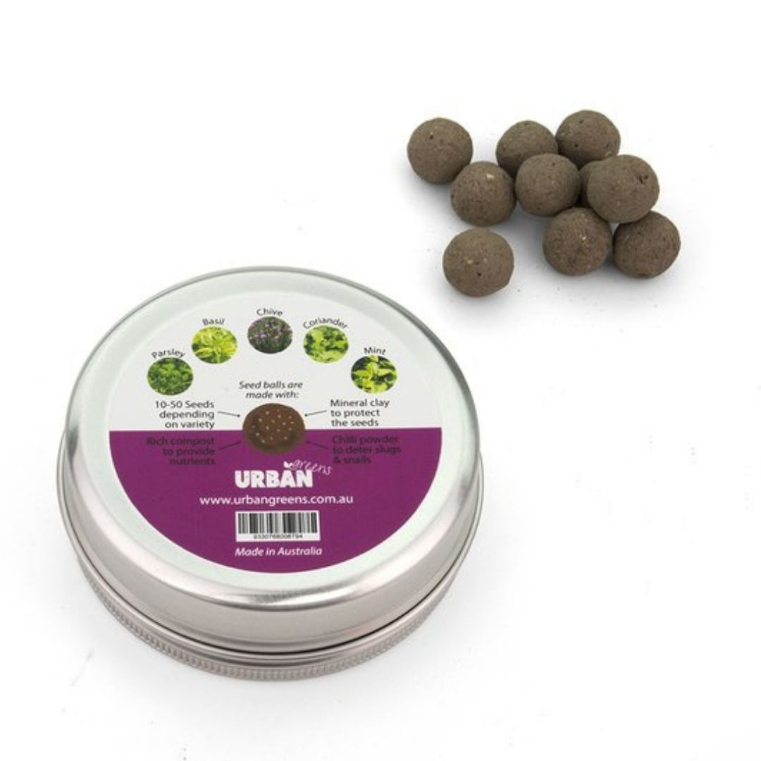 Urban Greens Seed Balls - Kitchen Herbs